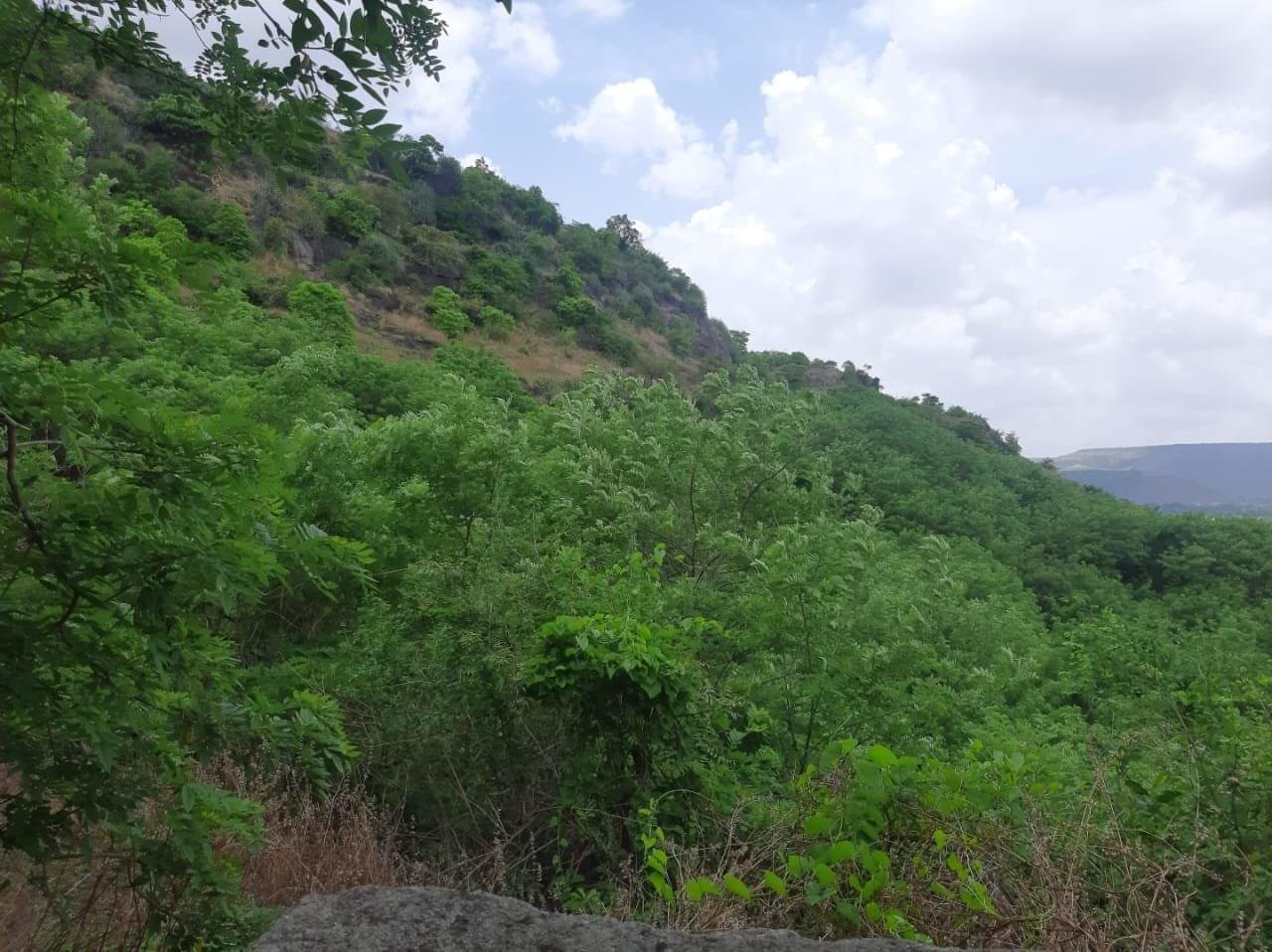 Mountain Nature oF Ellora